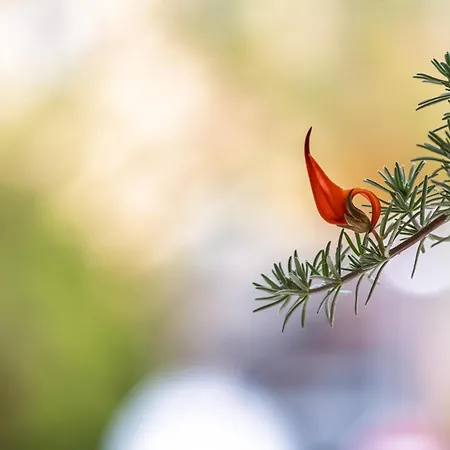 Casa Nª Srª Gracas Sintra