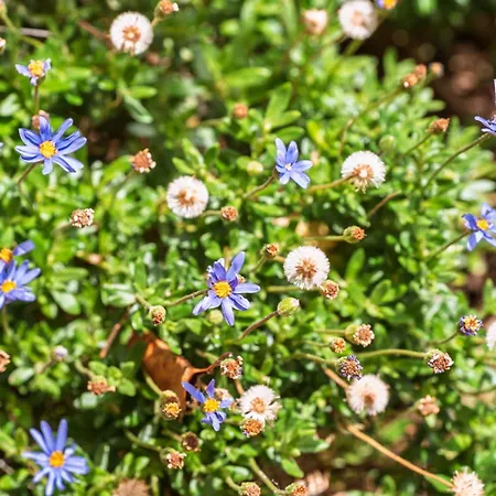 Casa Nª Srª Gracas Feriehus