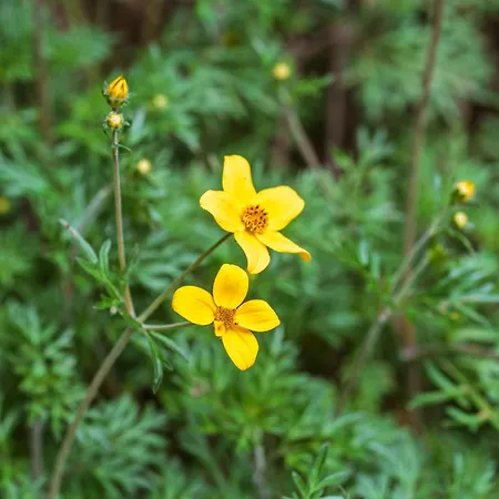 Casa Nª Srª Gracas Feriehus *