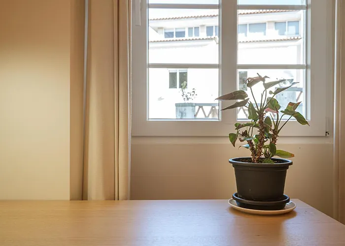 Σπίτι διακοπών Casa Nª Srª Gracas Σίντρα