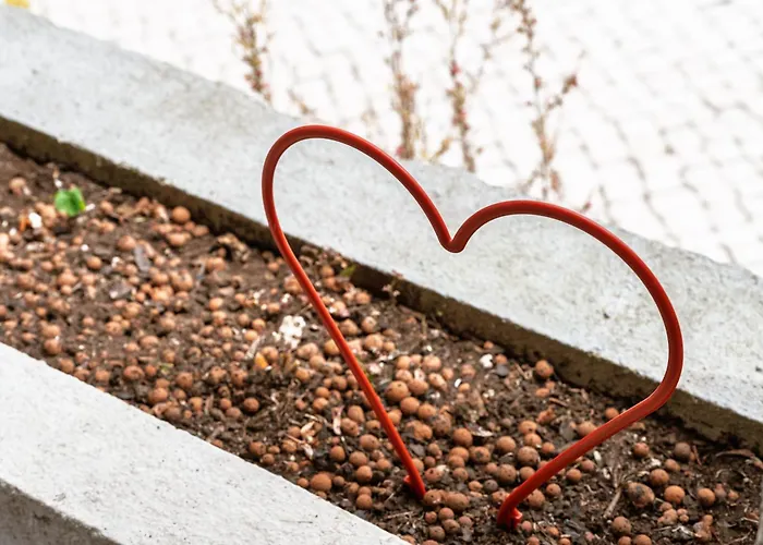 Casa Nª Srª Gracas Σπίτι διακοπών *